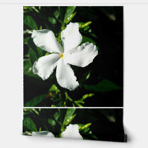 太陽の下の白ピンホイールジャスミン