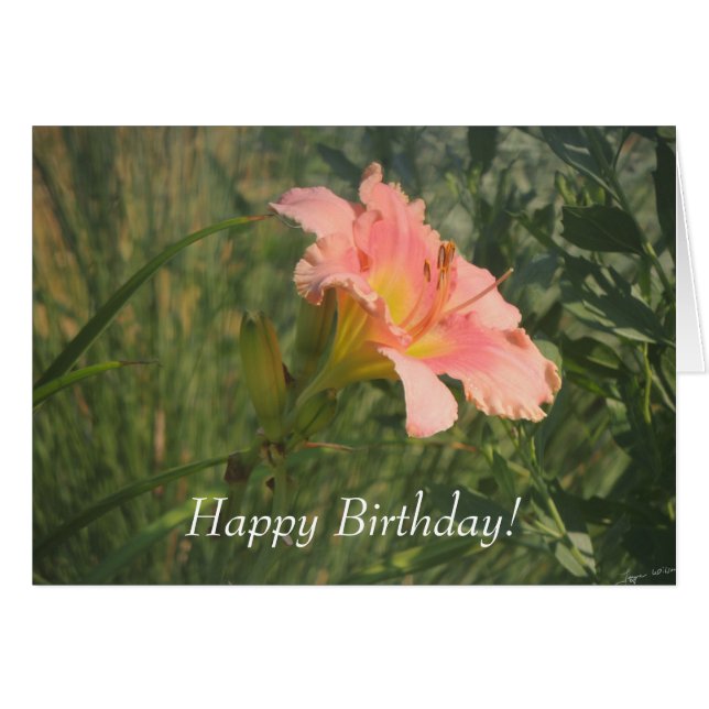 太陽の下の白蓮 (正面横)