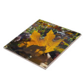 太陽の下の秋の葉 タイル (側面)