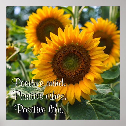 太陽の下の美しいひまわりパーソナライズされた ポスター (正面)
