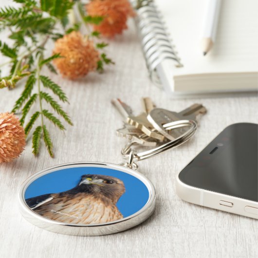 太陽の下の雄大な赤尾のタカ キーホルダー (側面)