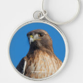太陽の下の雄大な赤尾のタカ キーホルダー (正面)