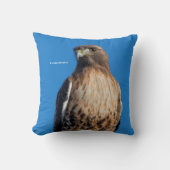 太陽の下の雄大な赤尾のタカ クッション (正面)