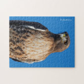 太陽の下の雄大な赤尾のタカ ジグソーパズル (横)