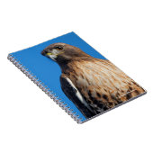 太陽の下の雄大な赤尾のタカ ノートブック (右側)