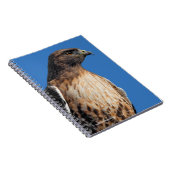 太陽の下の雄大な赤尾のタカ ノートブック (右側)