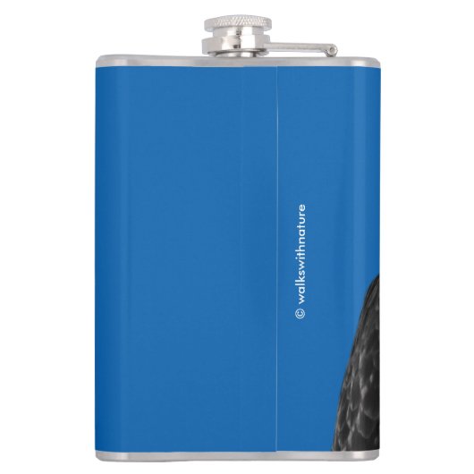 太陽の下の雄大な赤尾のタカ フラスク (裏面)