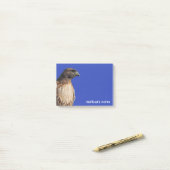 太陽の下の雄大な赤尾のタカ ポストイット (デスク上)