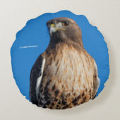 太陽の下の雄大な赤尾のタカ ラウンドクッション (裏面)
