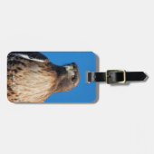 太陽の下の雄大な赤尾のタカ ラゲッジタグ (正面横)