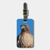 太陽の下の雄大な赤尾のタカ ラゲッジタグ (正面縦)