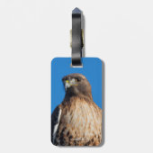 太陽の下の雄大な赤尾のタカ ラゲッジタグ (裏面縦)