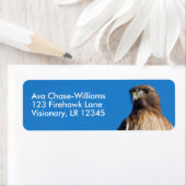 太陽の下の雄大な赤尾のタカ ラベル (インサイチュ)