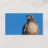 太陽の下の雄大な赤尾のタカ 名刺 (正面)