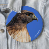 太陽の下の雄大な赤尾のタカ 缶バッジ (インサイチュ)