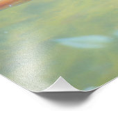 太陽の下を泳ぐ フォトプリント            (角)