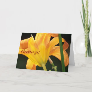 太陽の下、こんにちは！ カード