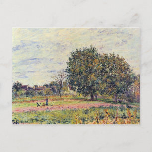 太陽の中のクルミの木、10月上旬 – Sisley ポストカード
