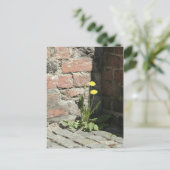 太陽の中のタンポポ。 ポストカード (スタンド正面)