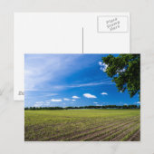 太陽の中のトウモロコシ畑 ポストカード (正面/裏面)