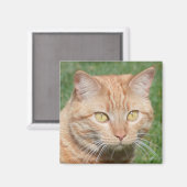 太陽の中のマーマレード マグネット (正面/裏面)