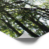 太陽の中のワイドな木 ポスター (角)