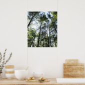 太陽の中のワイドな木 ポスター (キッチン)