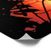 太陽の中の葉 ポスター (角)