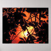 太陽の中の葉 ポスター (正面)