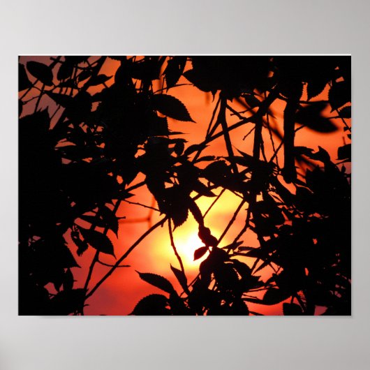 太陽の中の葉 ポスター (正面)