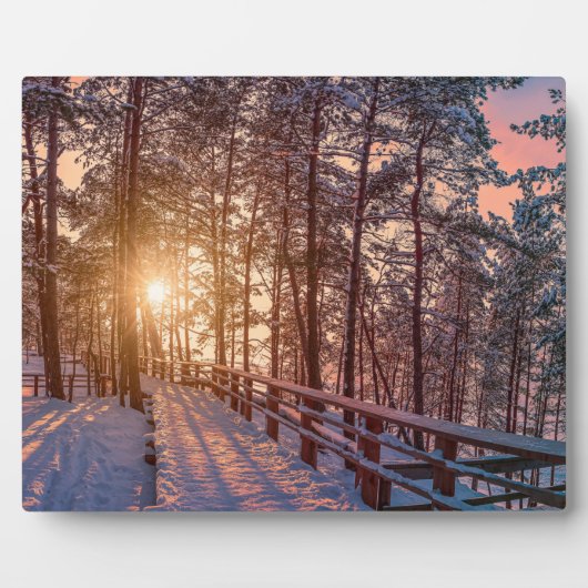 太陽の光で雪の松の森に沈む夕日 フォトプラーク (正面)