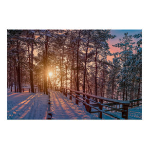 太陽の光で雪の松の森に沈む夕日 ポスター