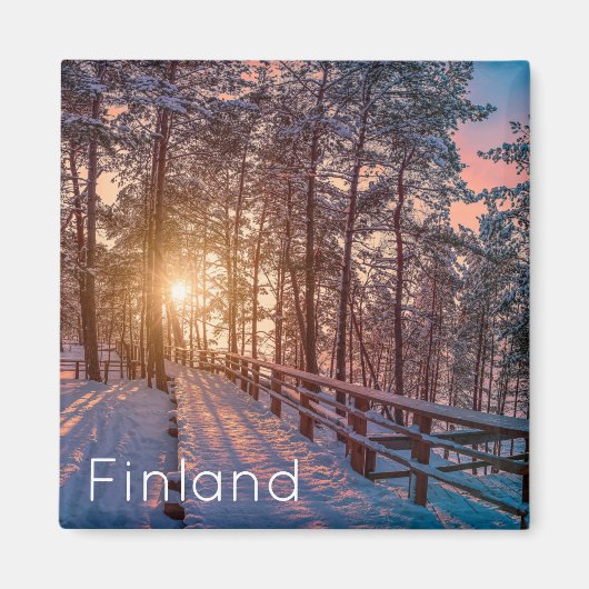 太陽の光で雪の松の森に沈む夕日 マグネット (正面)