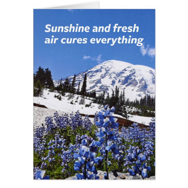 太陽の光と新鮮な空気 (正面)