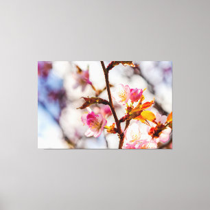 太陽の光に満ちた桜の花開く芸術 キャンバスプリント