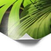 太陽の光の中でヤシの葉、熱帯景観 フォトプリント            (角)