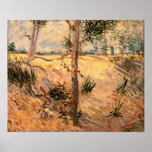 太陽の光る野原の木々 ヴィンセント・ヴァン・ゴッホ ポスター (正面)