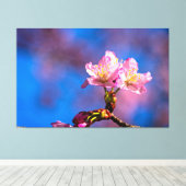 太陽の光を浴びて春の陽気の中で咲く３つの桜の花 キャンバスプリント (インサイチュ (ウッドフロア))