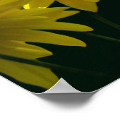 太陽の光を浴びる黄色い金箔色の花 ポスター (角)