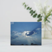 太陽の光 ポストカード (スタンド正面)