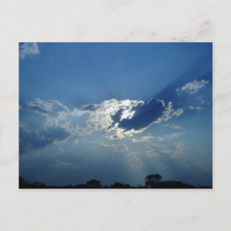 太陽の光 ポストカード