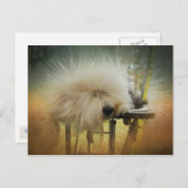 太陽の光! ポストカード (正面/裏面)