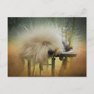 太陽の光! ポストカード