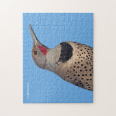 太陽の北フリッカーの木ペッカー ジグソーパズル (縦)