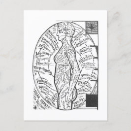 「太陽の図表：微小宇宙」〔占星術の〕十二宮図占星術 ポストカード