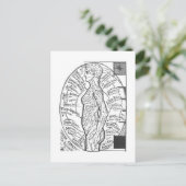 「太陽の図表：微小宇宙」〔占星術の〕十二宮図占星術 ポストカード (スタンド正面)