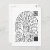 「太陽の図表：微小宇宙」〔占星術の〕十二宮図占星術 ポストカード (正面/裏面)