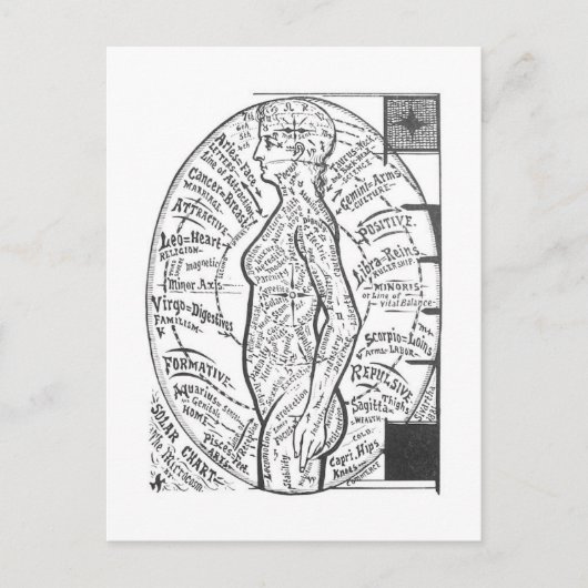 「太陽の図表：微小宇宙」〔占星術の〕十二宮図占星術 ポストカード (正面)