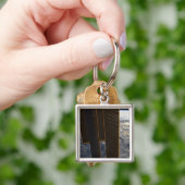 太陽の宇宙のパネ国際的ル キーホルダー (手)