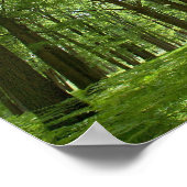 太陽の後ろにある森 ポスター (角)